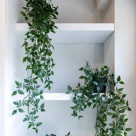 Casa Nerea Coni