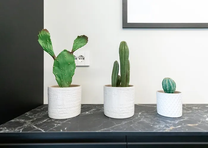 Casa Nerea * 쿠네오