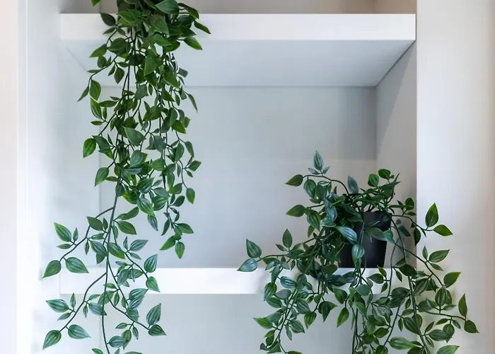 Casa Nerea Cuneo